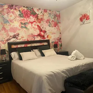 Piso Centrico En Apartamento